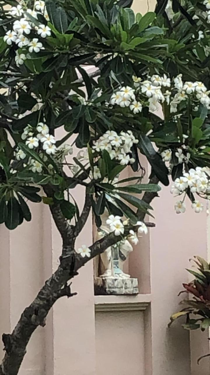 Jepun Villa Sanur Denpasar Exteriör bild